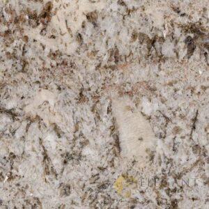 Ganache - Image 1