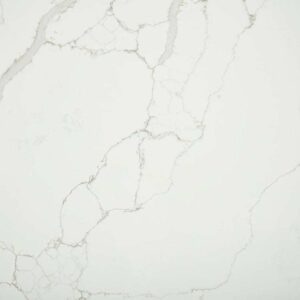 Palmeri - Image 4